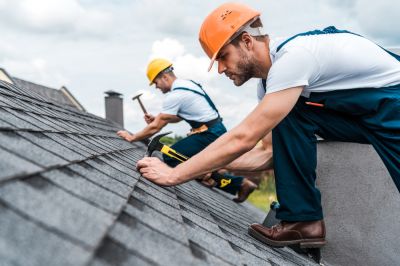 Prevent Mold and Mildew Growth